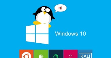 windows 10 run linux